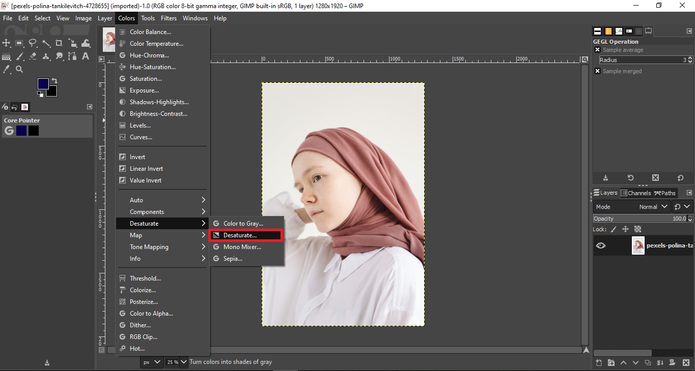 How to turn an Image into a Sketch in GIMP Pigeogram
