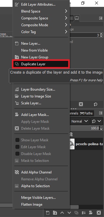 duplicate layer