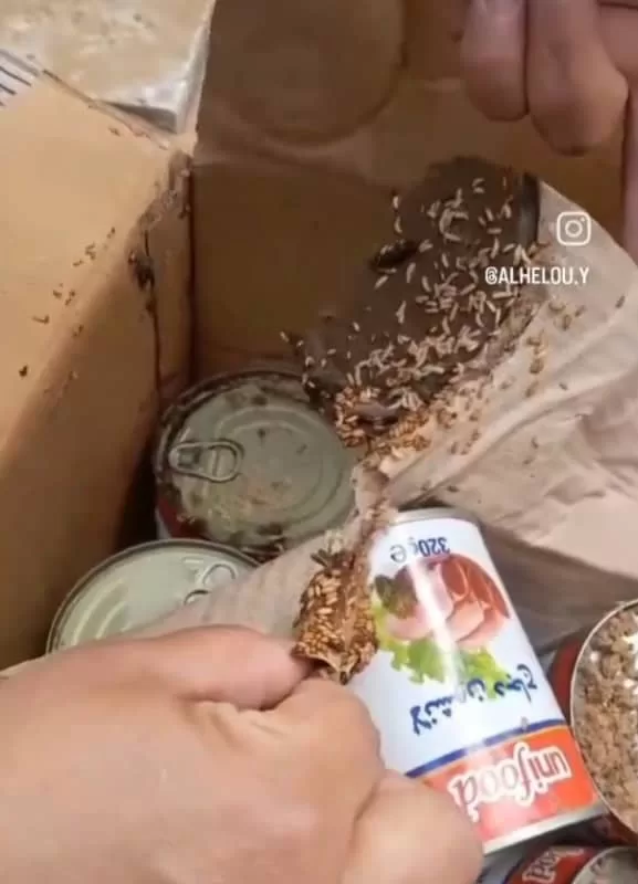 worm-infested food aid